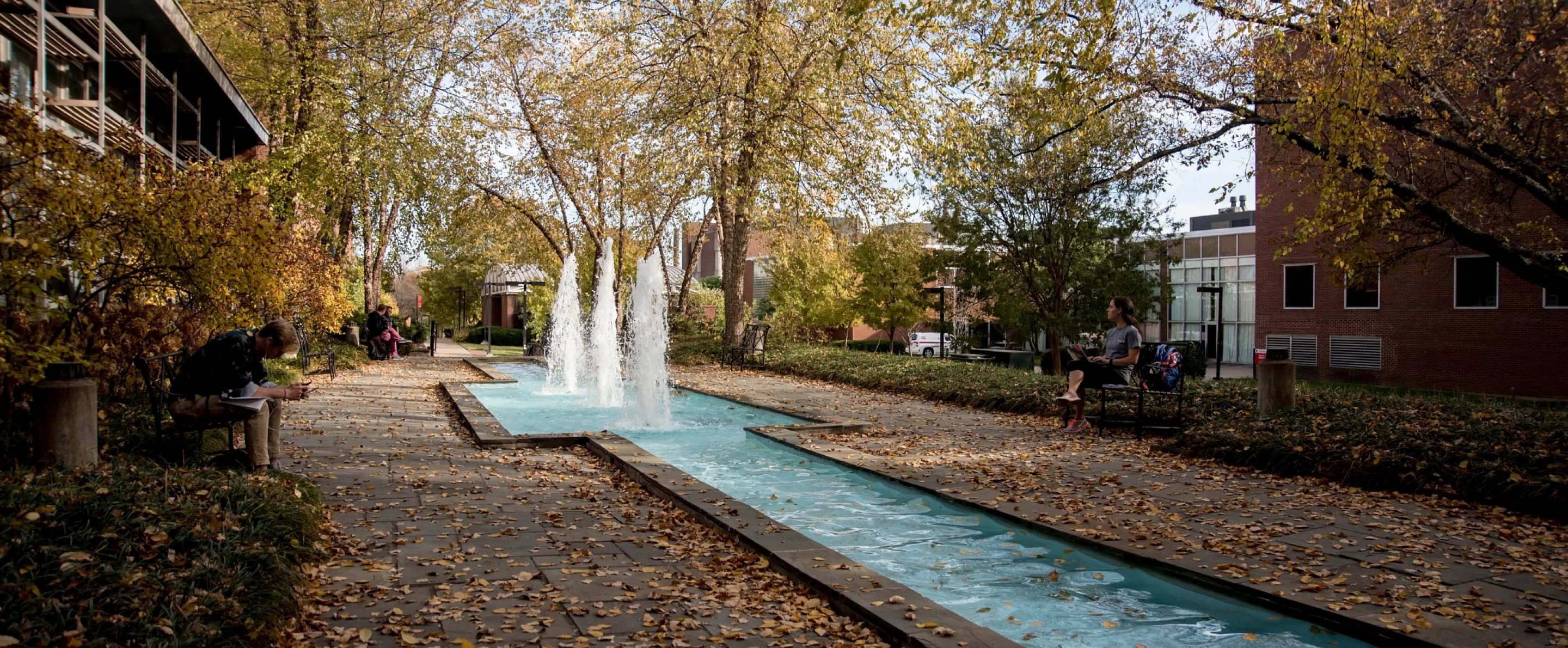 Schneider Hall fountain in fall