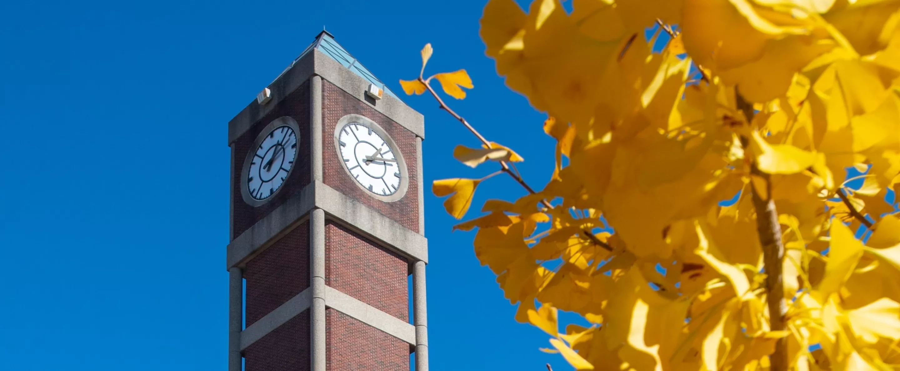 Fall view of the SAC clock tower with foliage