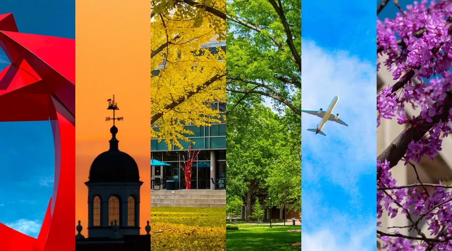 UofL photos highlighting a rainbow of red, orange, yellow, green, blue, and purple. From left to right columns of photos of a UofL sculpture, a sunset, a yellow tree in fall, a green tree in summer, a plane in blue sky, and purple flowers on a tree.